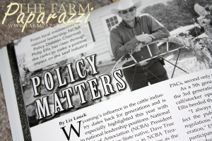PR Consultant for Hire | The Farm Paparazzi