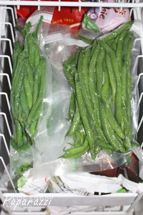 Freezing Green Beans XV