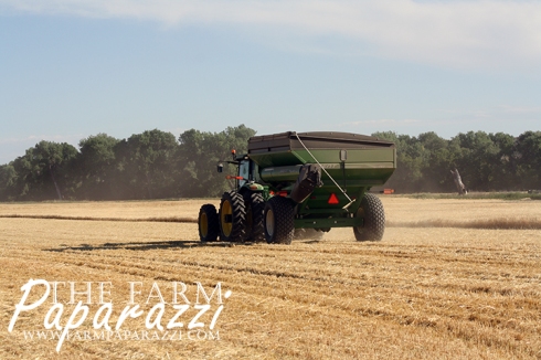 See the Grain Cart Work | The Farm Paparazzi